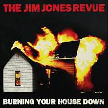 Review of Burning Your House Down 