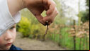 Worms © Fotolia XIII - Fotolia.com