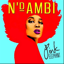 Review of Pink Elephant