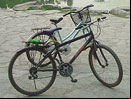 bikes