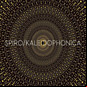 Review of Kaleidophonica      