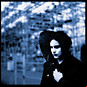 Review of Blunderbuss